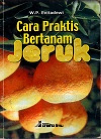 Image of Cara praktis bertanam jeruk