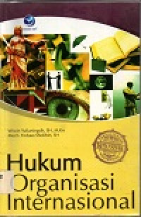 Image of Hukum organisasi internasional